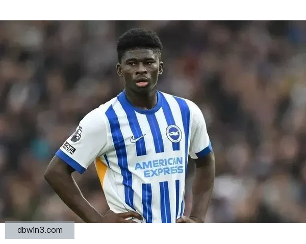 以斯科特为核心重塑中场夏窗引入巴莱巴的可行性分析与前景展望